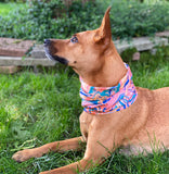 Tubular Bandana - Coral Marble
