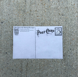 The backside of a postcard featuring space to write your message and address.