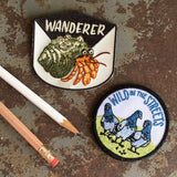 Wanderer Hermit Crab Patch