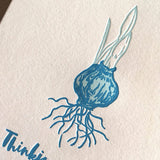detail close-up of the illustrated sprouting bulb