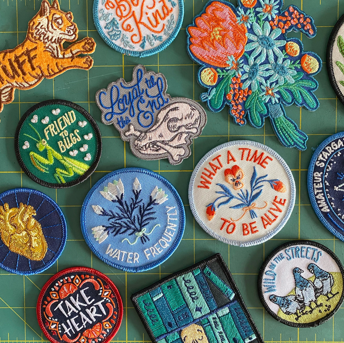Friend To Bugs Praying Mantis Patch – Frog & Toad Press