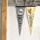 A collection of Star Wars pennants hanging on a wall.