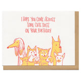 Greeting card and kraft envelope. Hand-written text at top reads, "I hope you come across some cute dogs on your birthday." Illustration below of a group of dogs of various breeds and sizes. Colors are red and orange.