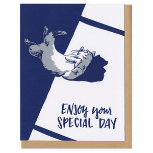 Greeting card and kraft paper envelope. Text reads "enjoy your special day." Illustration in blue and grey of happy cat rolling on it's back in a sunbeam.