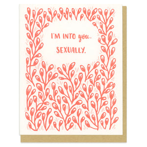 A greeting card and envelope featuring all over pink and red buds surrounded a text blurb that reads "I'm into you. Sexually."