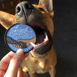 A circle iron on embroidered patch with a black outline and a light blue background with a dog's paw holding a human's hand with scripted text above it reading "friend to strays" being gently munched on by our illustrator Maret's dog Finn.